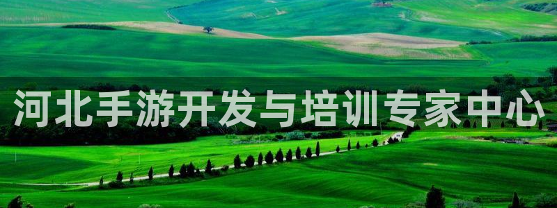 糖果派对爆8000倍视频：河北手游开发与培训专家中心