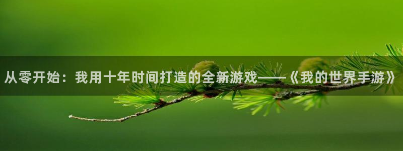 糖果派对游戏网站在线玩：从零开始：我用十年时间打造的全新游戏
