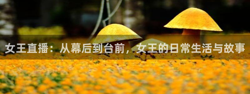 斗球直播app免费下载：女王直播：从幕后到台前，女王的日常生活与故事