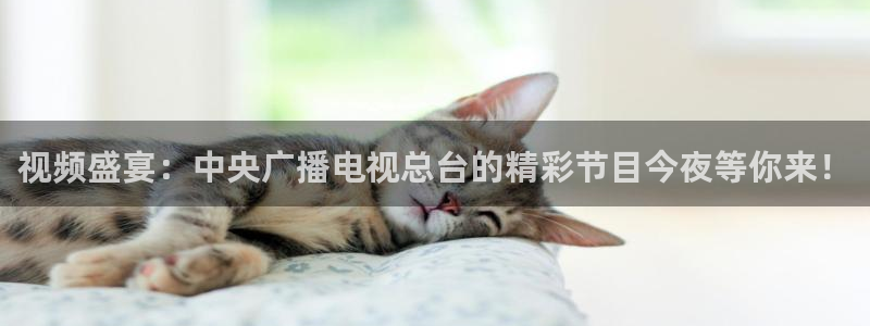 下载斗球直播：视频盛宴：中央广播电视总台的精彩节目今夜等你来！