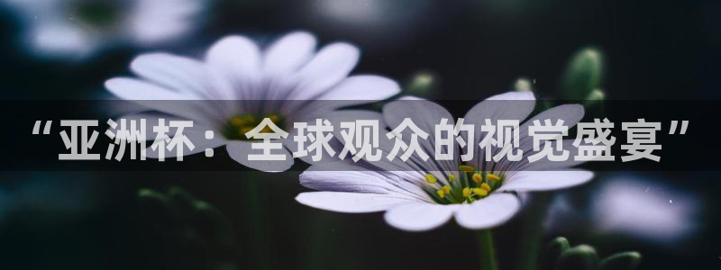 下载斗球体育直播nba：“亚洲杯：全球观众的视觉盛宴”