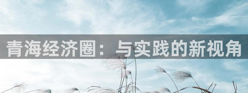 斗球直播官网app下载：青海经济圈：与实践的新视角