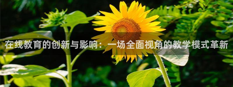 斗球直播app下载官网：在线教育的创新与影响：一场全面视角的教学模式革新