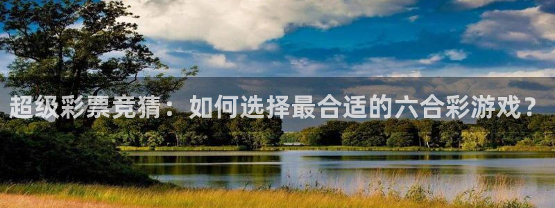 dqivip斗球直播下载：超级彩票竞猜：如何选择最合适的六合彩游戏？