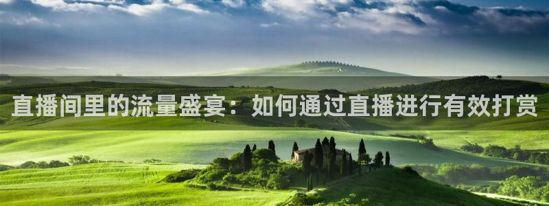 斗球nba足球篮球体育直播：直播间里的流量盛宴：如何通过直播进行有效打赏