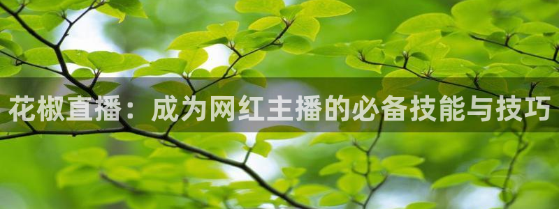 斗球体育直播网页：花椒直播：成为网红主播的必备技能与技巧
