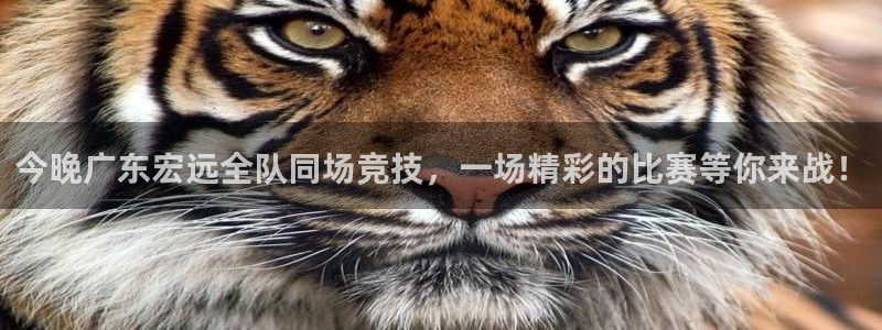 斗球直播nba免费观看下载：今晚广东宏远全队同场竞技，一场精彩的比赛等你来战！